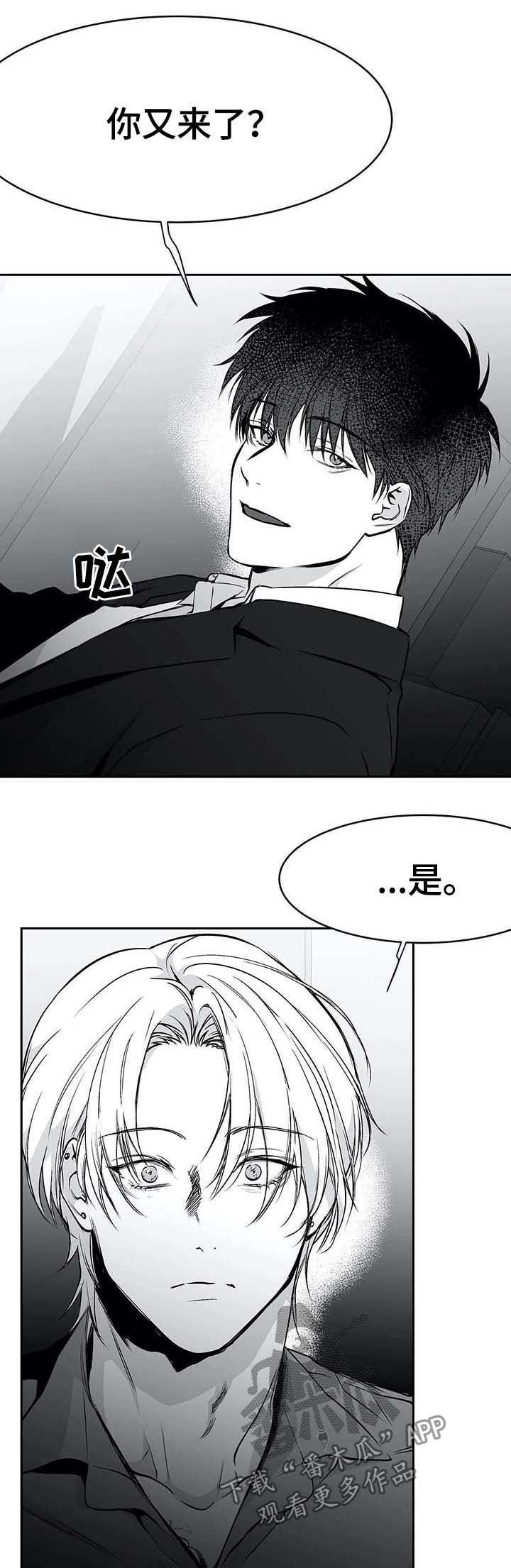 《拳击手》漫画最新章节第63章：那是什么免费下拉式在线观看章节第【5】张图片