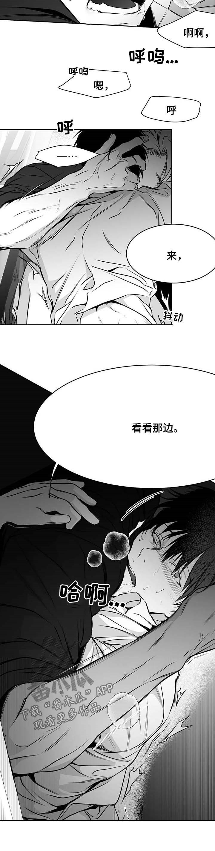 《拳击手》漫画最新章节第69章：成为禽兽免费下拉式在线观看章节第【14】张图片