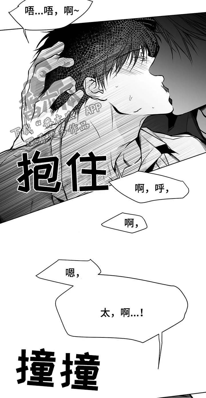 《拳击手》漫画最新章节第71章：都说不要免费下拉式在线观看章节第【11】张图片