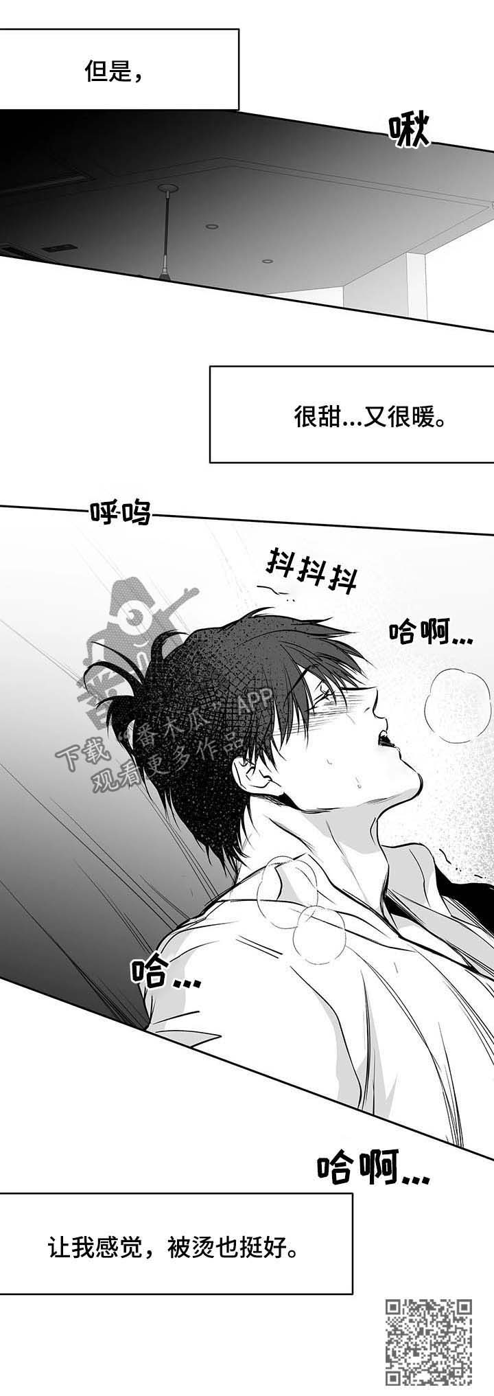 《拳击手》漫画最新章节第71章：都说不要免费下拉式在线观看章节第【1】张图片