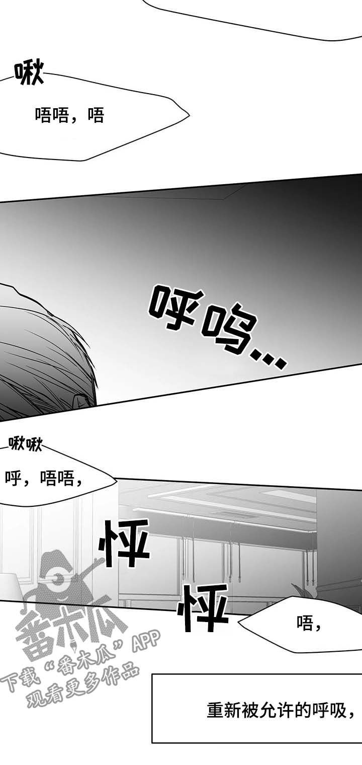 《拳击手》漫画最新章节第71章：都说不要免费下拉式在线观看章节第【4】张图片