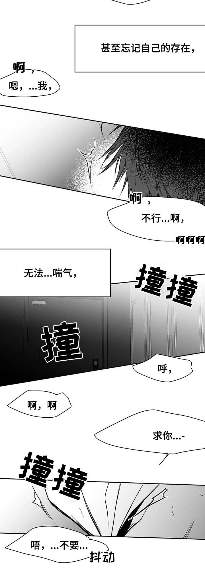 《拳击手》漫画最新章节第71章：都说不要免费下拉式在线观看章节第【6】张图片