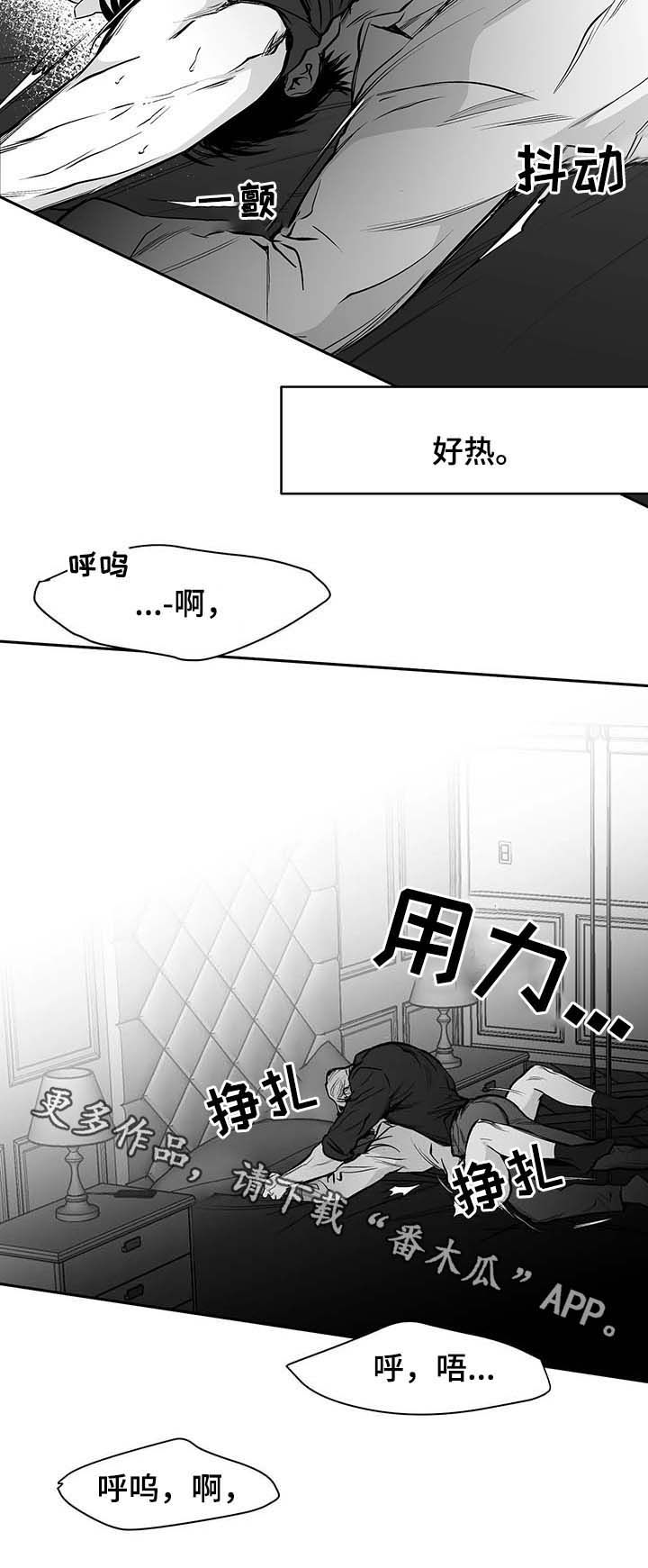 《拳击手》漫画最新章节第71章：都说不要免费下拉式在线观看章节第【2】张图片