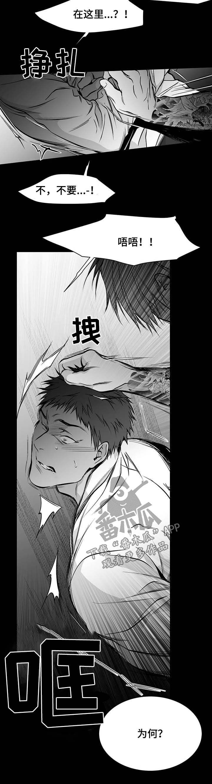 《拳击手》漫画最新章节第72章：好可怕免费下拉式在线观看章节第【10】张图片