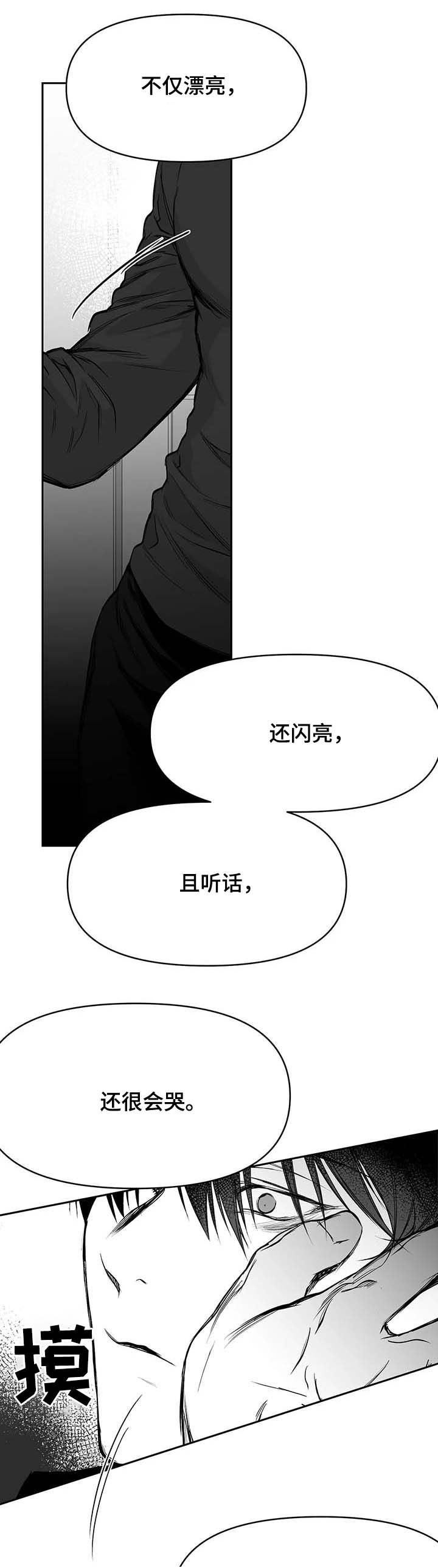 《拳击手》漫画最新章节第73章：现在开始管管免费下拉式在线观看章节第【6】张图片