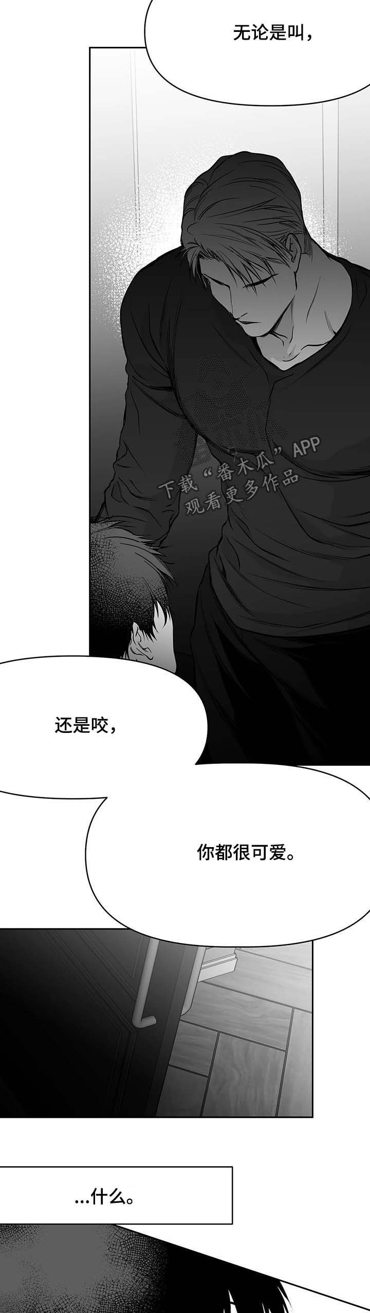 《拳击手》漫画最新章节第73章：现在开始管管免费下拉式在线观看章节第【5】张图片