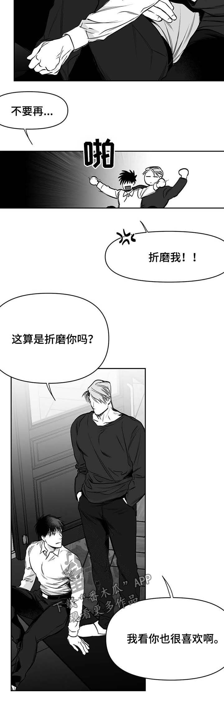 《拳击手》漫画最新章节第73章：现在开始管管免费下拉式在线观看章节第【11】张图片