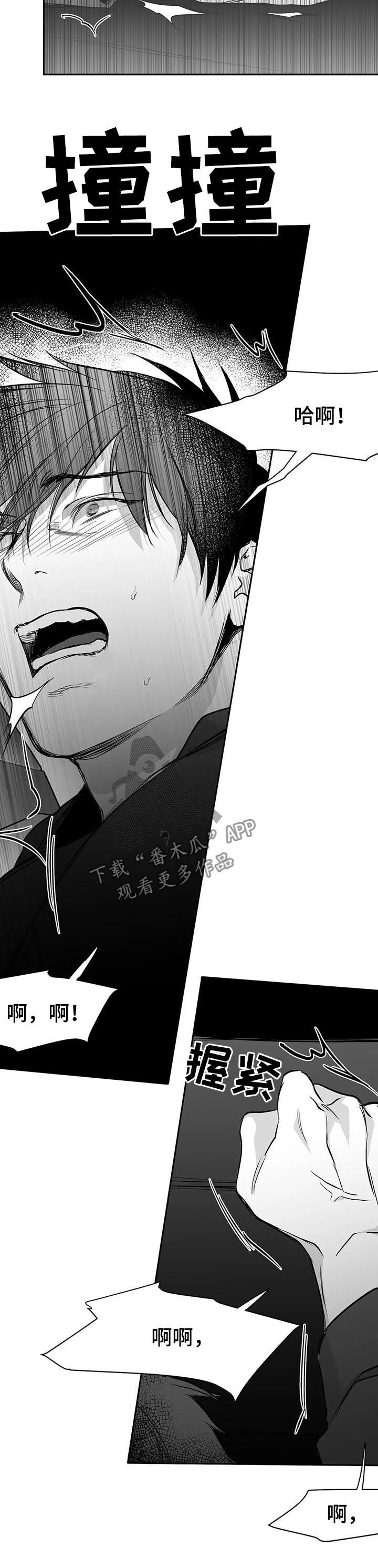 《拳击手》漫画最新章节第80章：无法忍住免费下拉式在线观看章节第【5】张图片