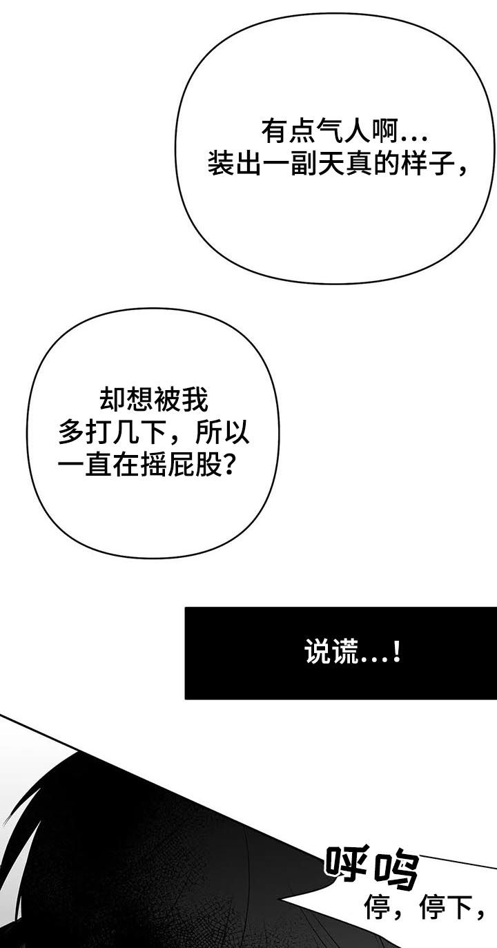 《拳击手》漫画最新章节第81章：数到十免费下拉式在线观看章节第【16】张图片