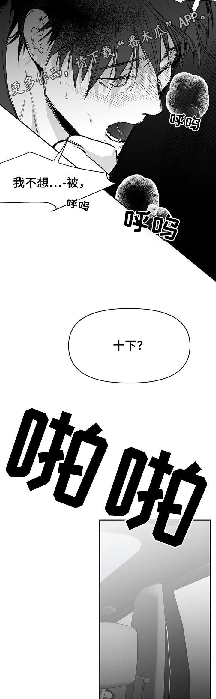 《拳击手》漫画最新章节第81章：数到十免费下拉式在线观看章节第【15】张图片