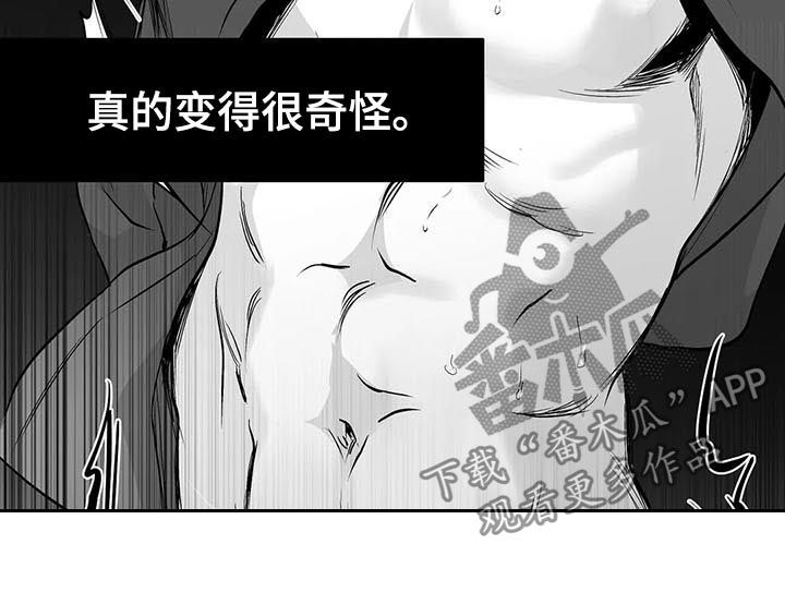 《拳击手》漫画最新章节第81章：数到十免费下拉式在线观看章节第【11】张图片