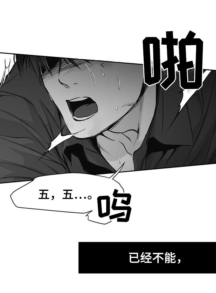 【拳击手】漫画-（第81章：数到十）章节漫画下拉式图片-12.jpg