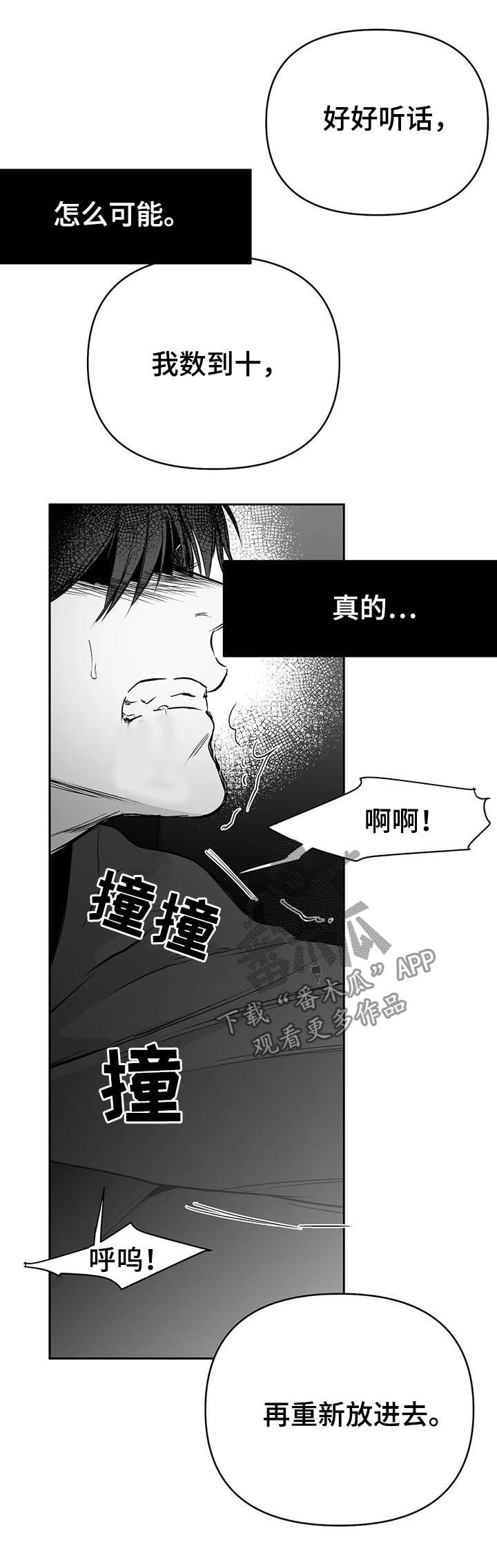 《拳击手》漫画最新章节第81章：数到十免费下拉式在线观看章节第【13】张图片