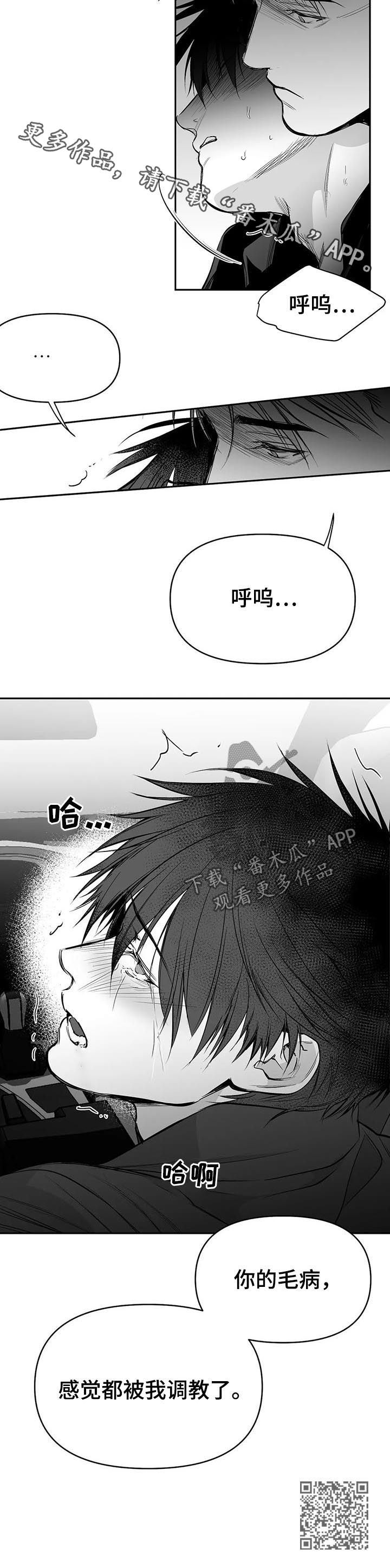 《拳击手》漫画最新章节第81章：数到十免费下拉式在线观看章节第【1】张图片