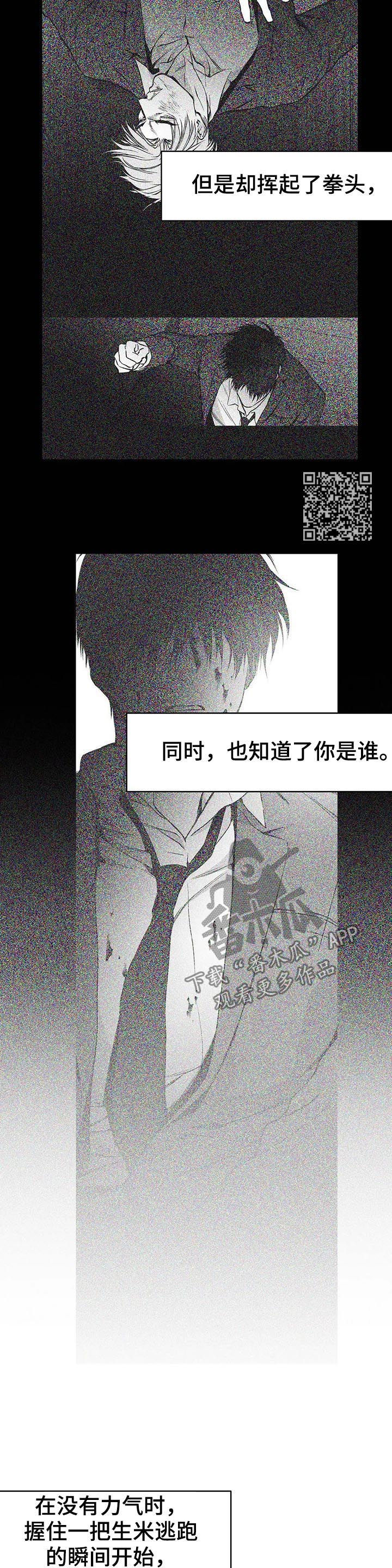 《拳击手》漫画最新章节第84章：到底怎么回事免费下拉式在线观看章节第【8】张图片