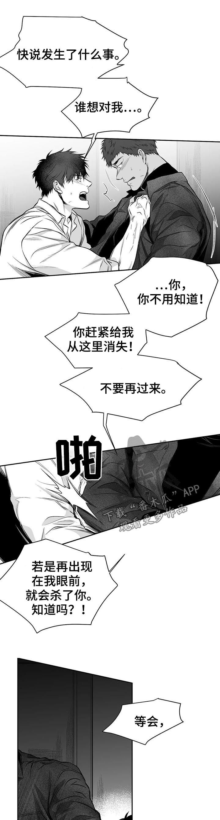 《拳击手》漫画最新章节第84章：到底怎么回事免费下拉式在线观看章节第【3】张图片