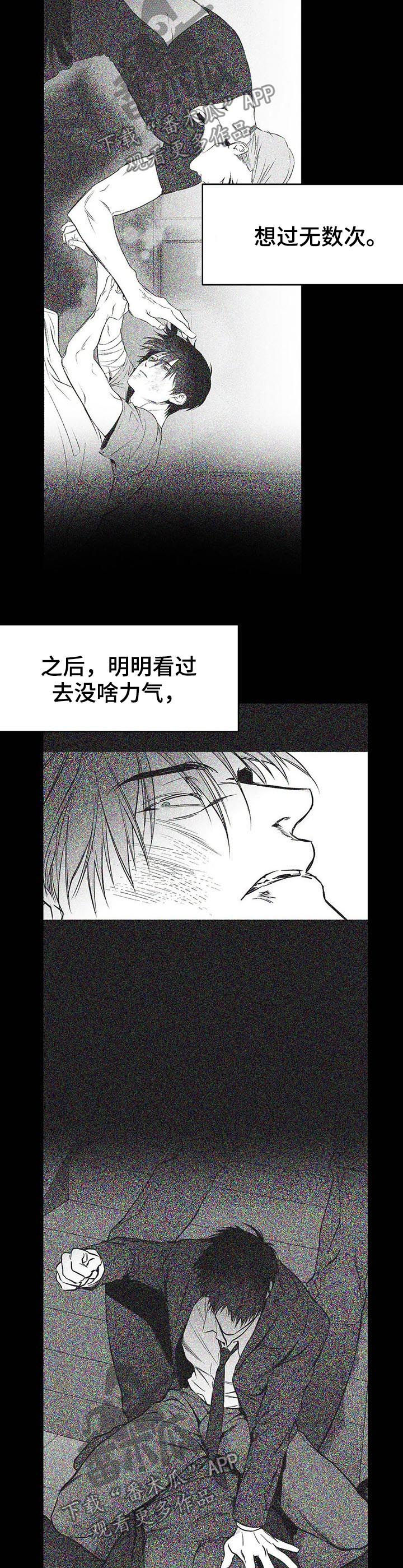 《拳击手》漫画最新章节第84章：到底怎么回事免费下拉式在线观看章节第【9】张图片