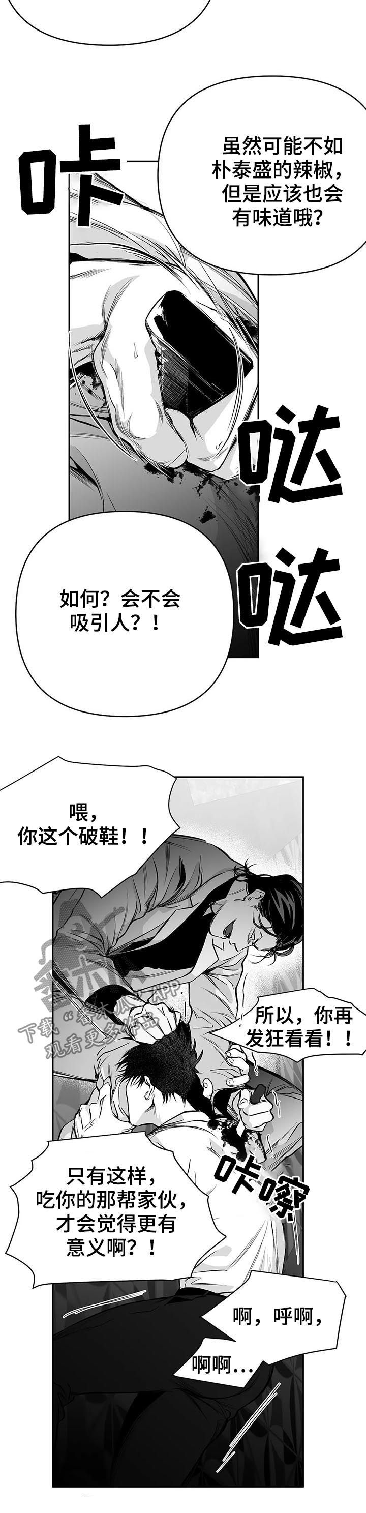 【拳击手】漫画-（第86章：有你的风范）章节漫画下拉式图片-10.jpg