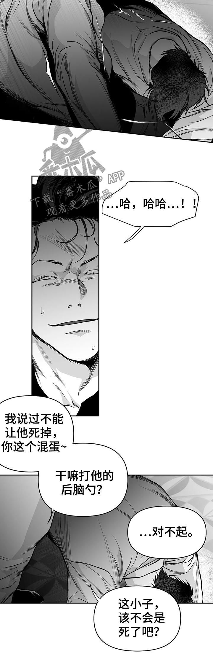 《拳击手》漫画最新章节第86章：有你的风范免费下拉式在线观看章节第【14】张图片