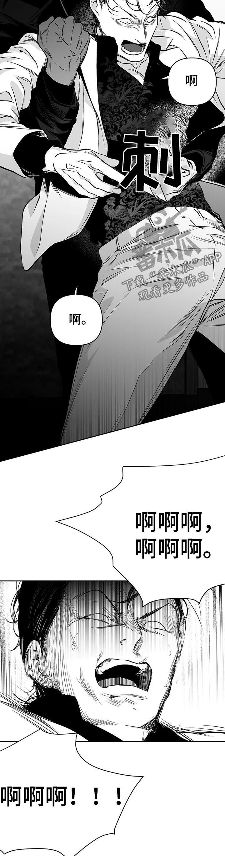 《拳击手》漫画最新章节第86章：有你的风范免费下拉式在线观看章节第【3】张图片