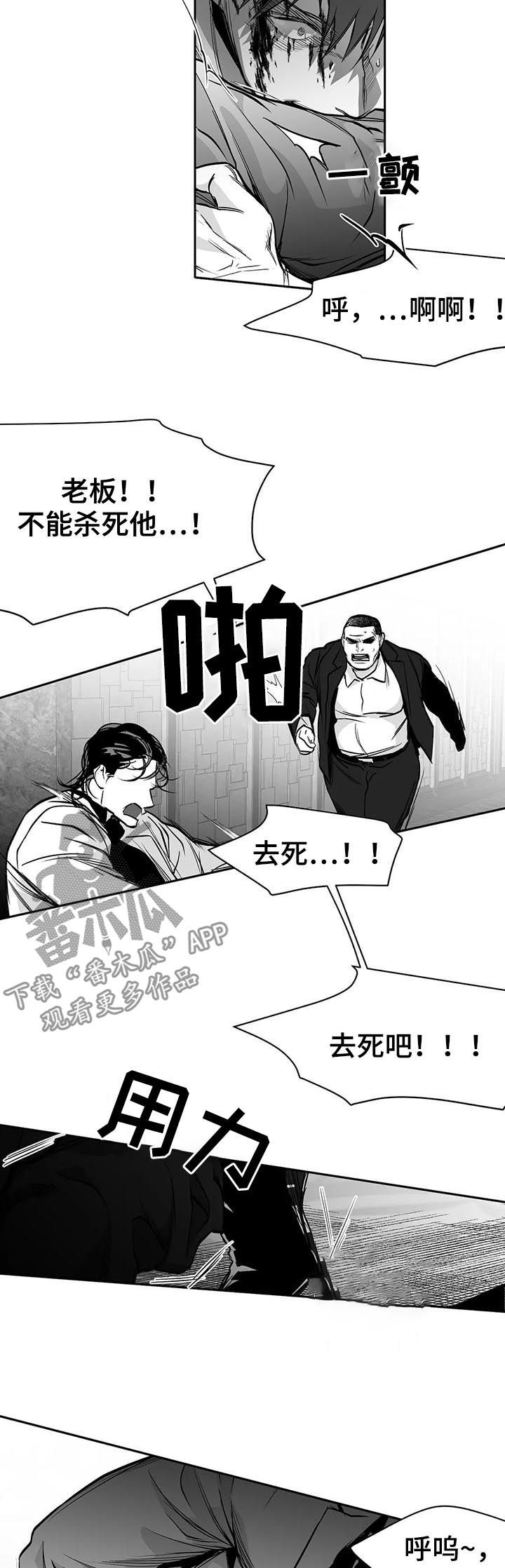【拳击手】漫画-（第86章：有你的风范）章节漫画下拉式图片-6.jpg