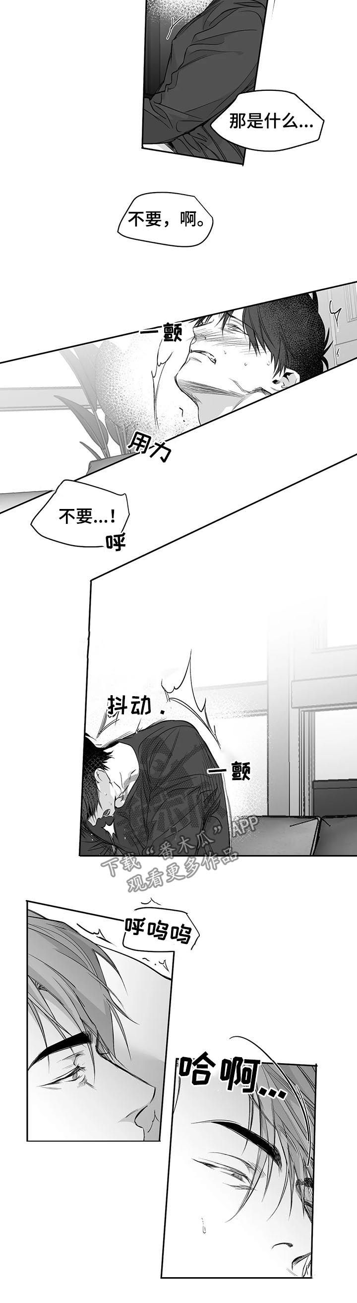 【拳击手】漫画-（第93章：【第二季】不要受伤）章节漫画下拉式图片-2.jpg