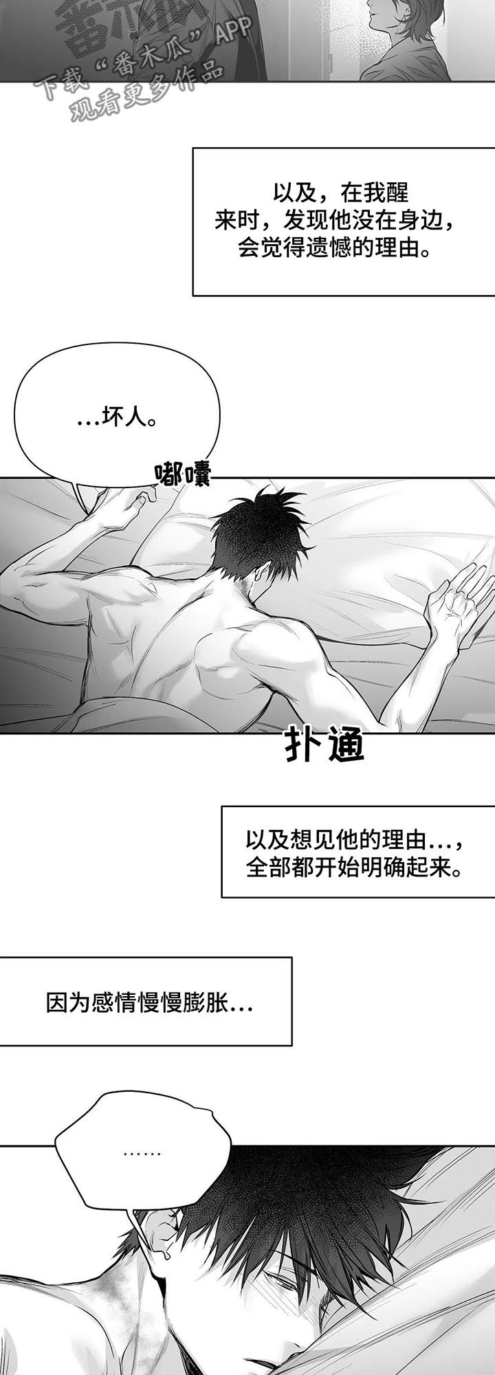 《拳击手》漫画最新章节第105章：【第二季】长什么样免费下拉式在线观看章节第【7】张图片