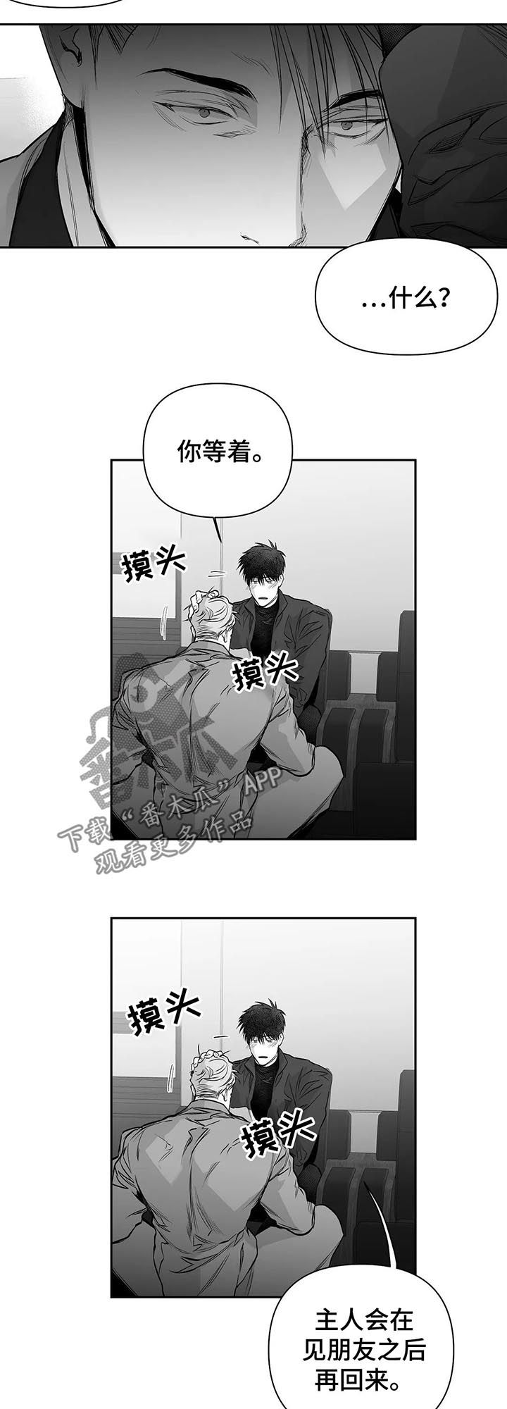 《拳击手》漫画最新章节第108章：【第二季】调查免费下拉式在线观看章节第【3】张图片