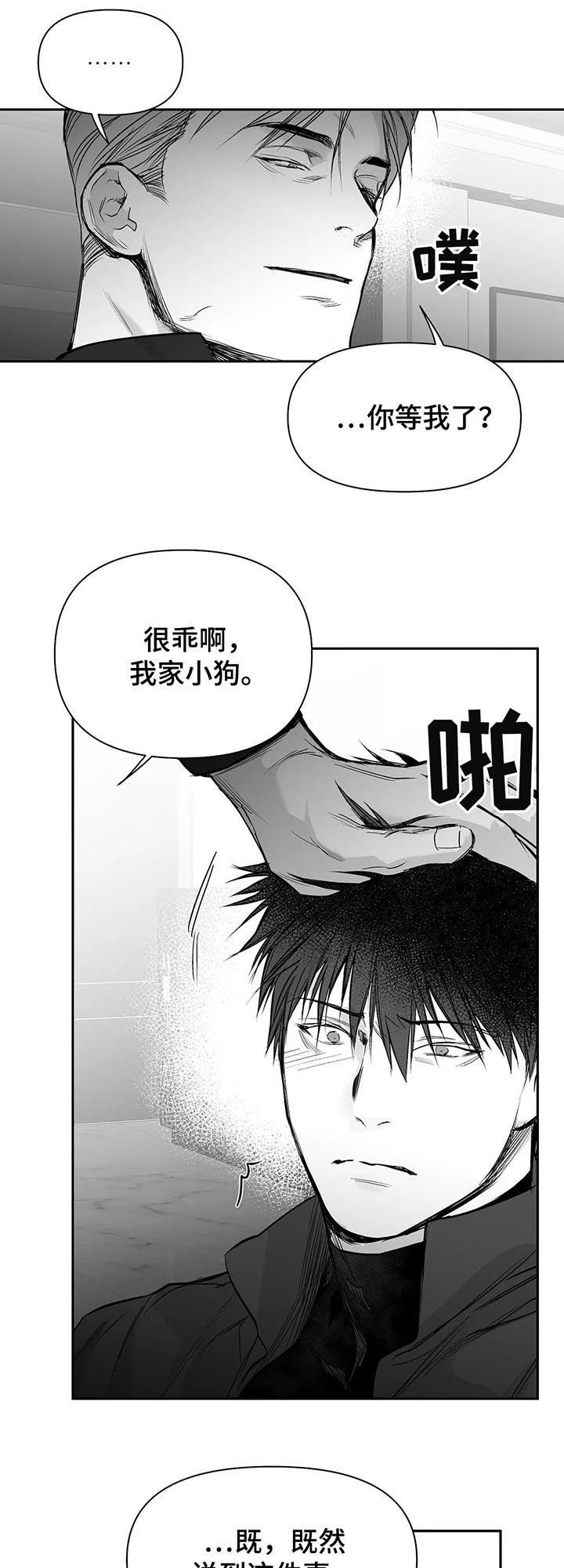 《拳击手》漫画最新章节第108章：【第二季】调查免费下拉式在线观看章节第【7】张图片