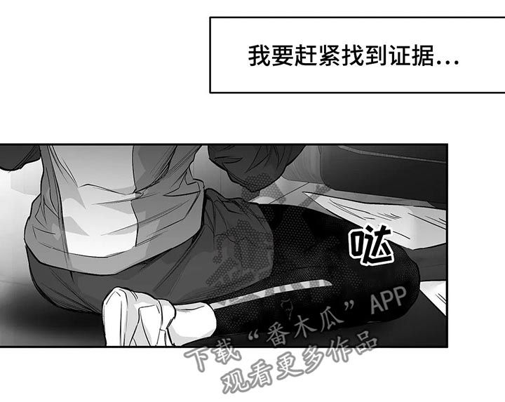 《拳击手》漫画最新章节第108章：【第二季】调查免费下拉式在线观看章节第【14】张图片