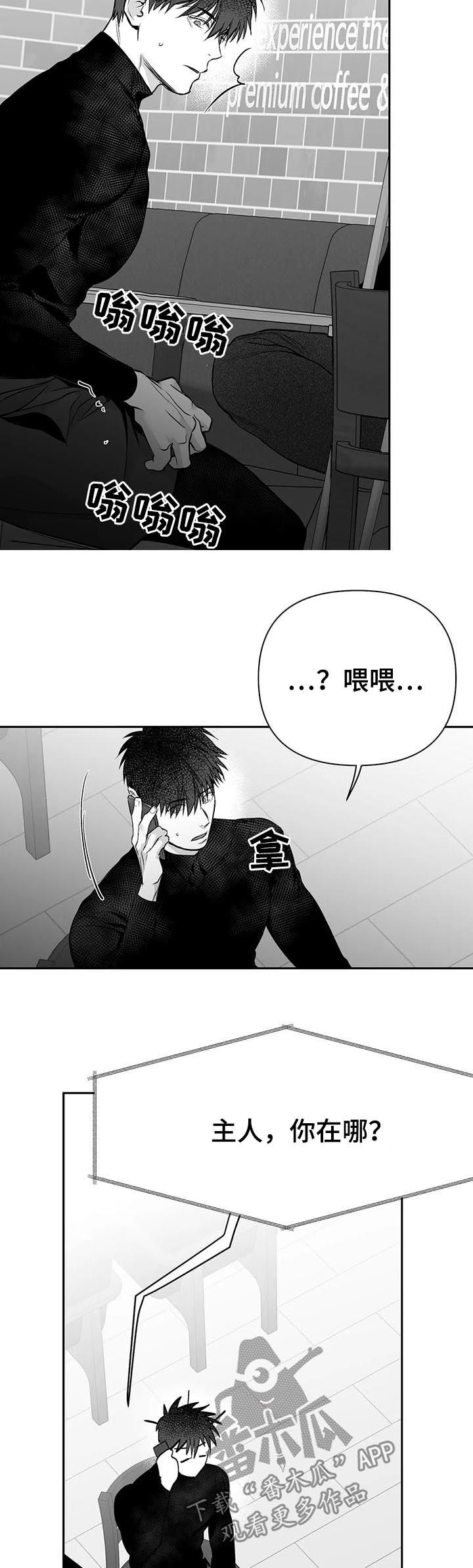 《拳击手》漫画最新章节第110章：【第二季】电话免费下拉式在线观看章节第【4】张图片