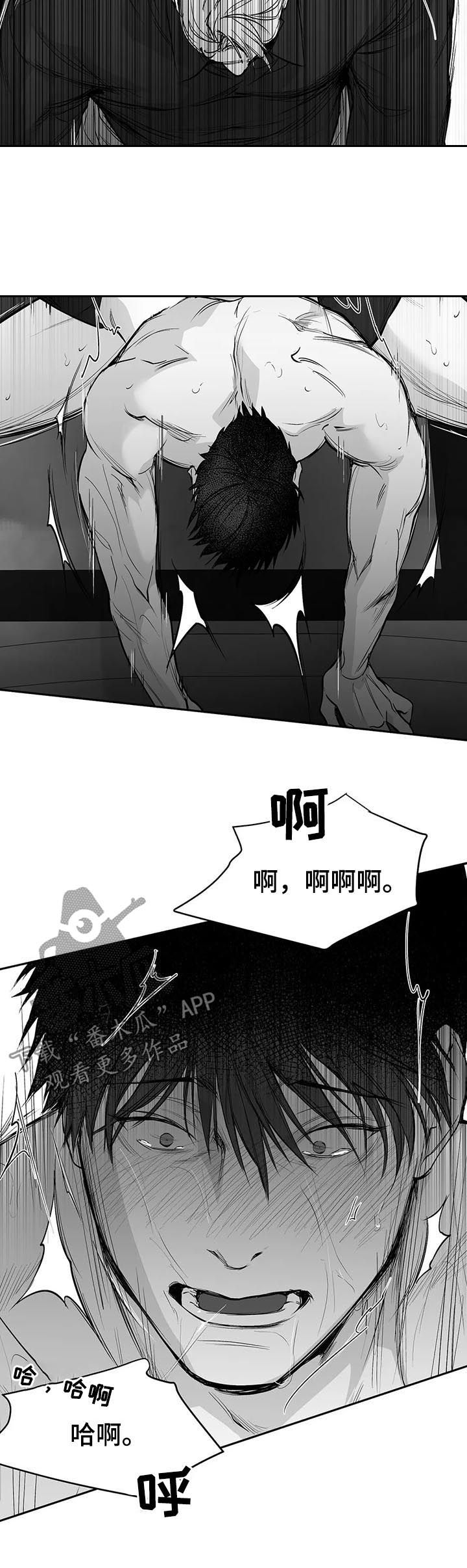 【拳击手】漫画-（第111章：【第二季】很贪心）章节漫画下拉式图片-13.jpg