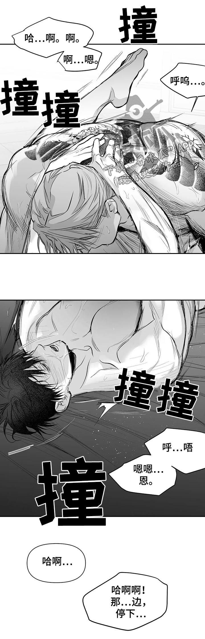 《拳击手》漫画最新章节第112章：【第二季】很好奇免费下拉式在线观看章节第【2】张图片