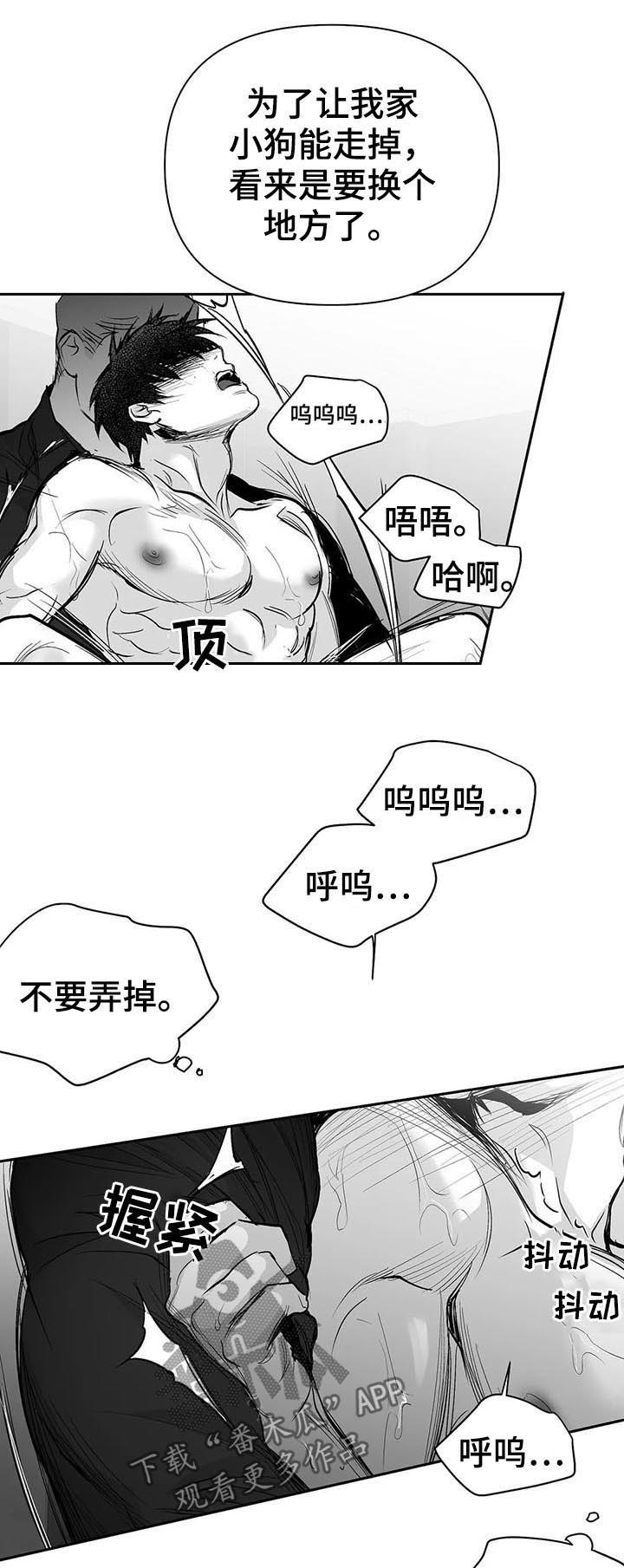 《拳击手》漫画最新章节第112章：【第二季】很好奇免费下拉式在线观看章节第【11】张图片