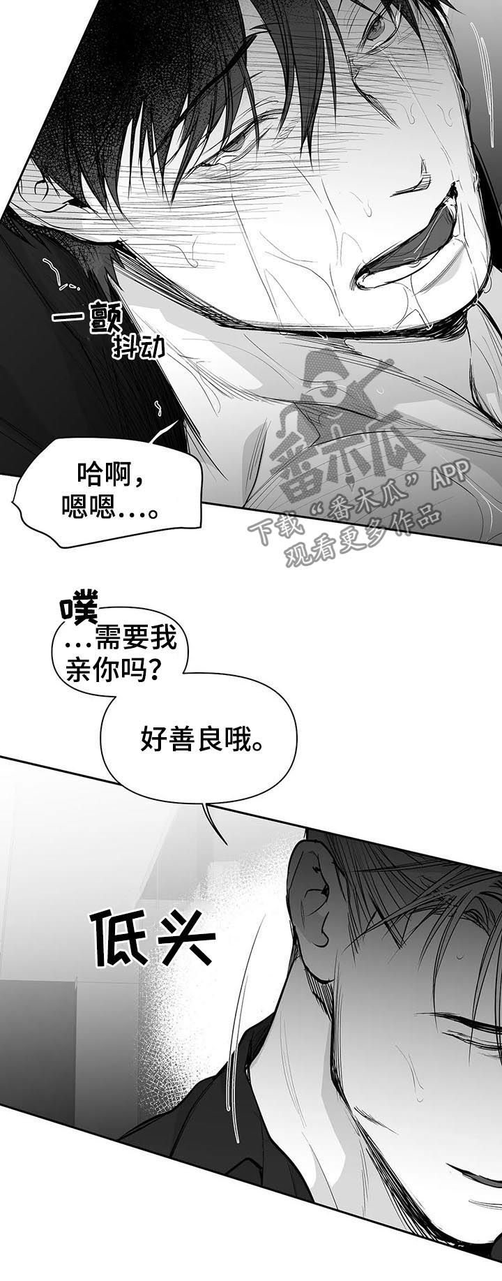 《拳击手》漫画最新章节第112章：【第二季】很好奇免费下拉式在线观看章节第【9】张图片