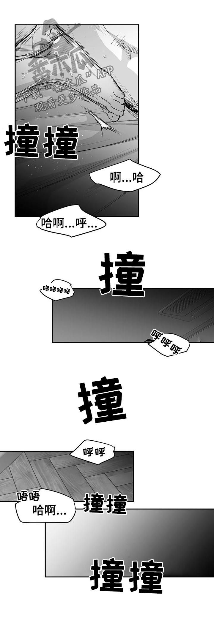 【拳击手】漫画-（第112章：【第二季】很好奇）章节漫画下拉式图片-13.jpg