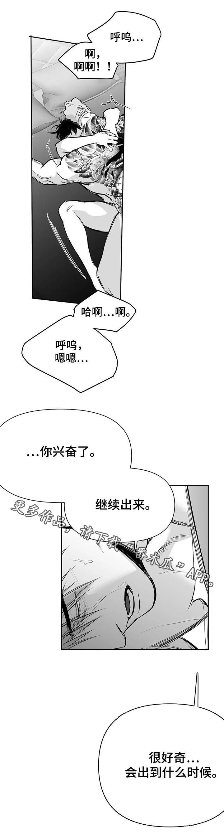 【拳击手】漫画-（第112章：【第二季】很好奇）章节漫画下拉式图片-15.jpg