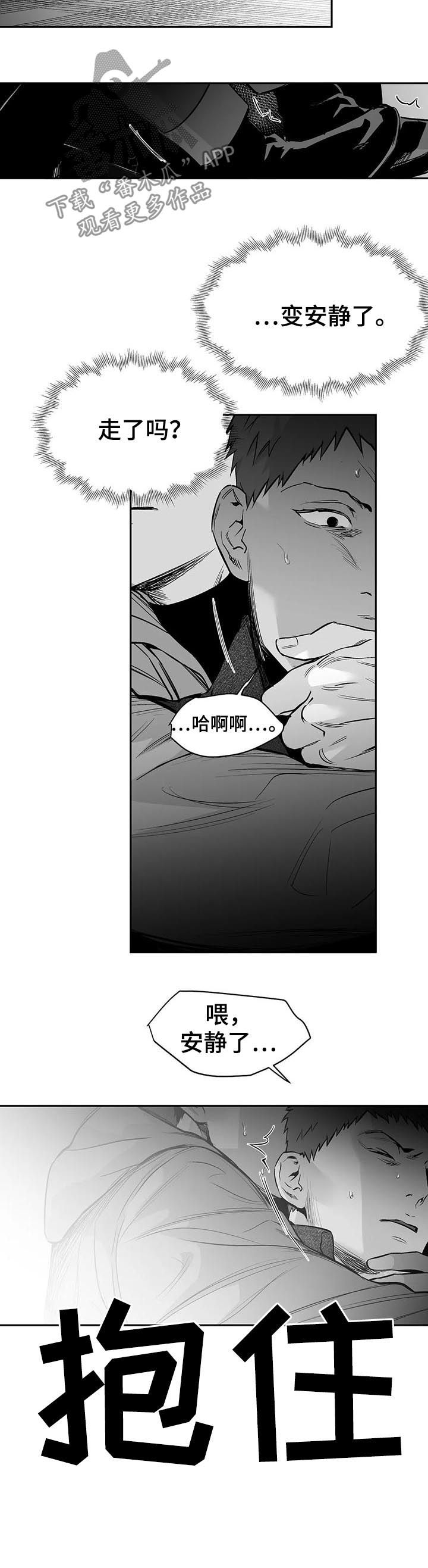 《拳击手》漫画最新章节第116章：【第二季】给我抓免费下拉式在线观看章节第【5】张图片