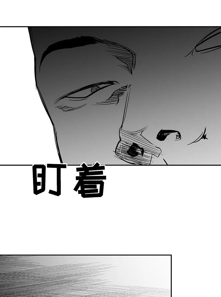 《拳击手》漫画最新章节第116章：【第二季】给我抓免费下拉式在线观看章节第【6】张图片