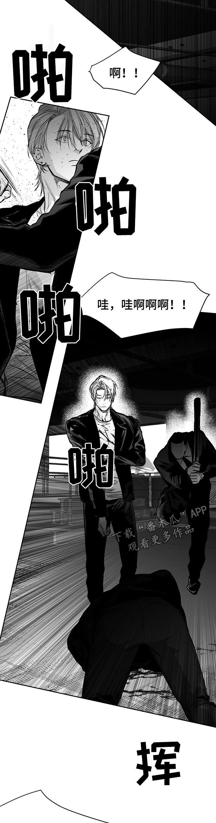 《拳击手》漫画最新章节第119章：【第二季】按我说的去做免费下拉式在线观看章节第【7】张图片