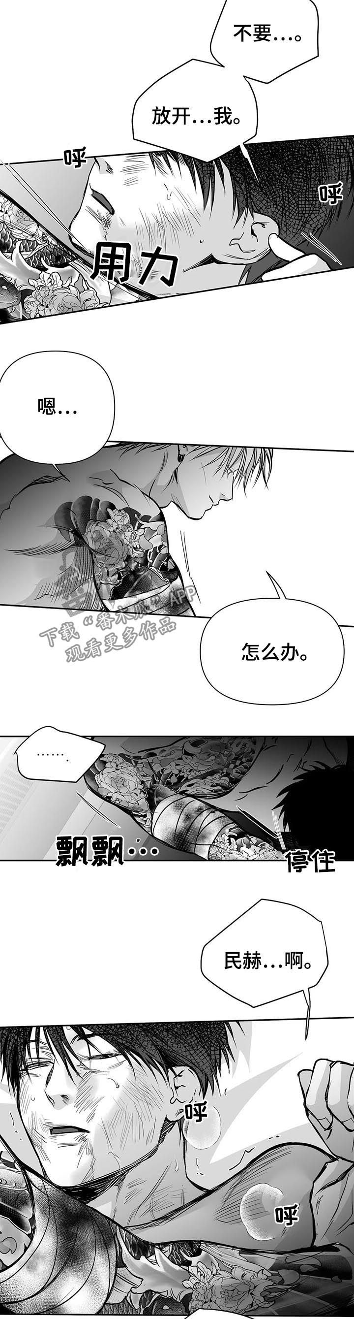 《拳击手》漫画最新章节第120章：【第二季】吃药吧免费下拉式在线观看章节第【3】张图片