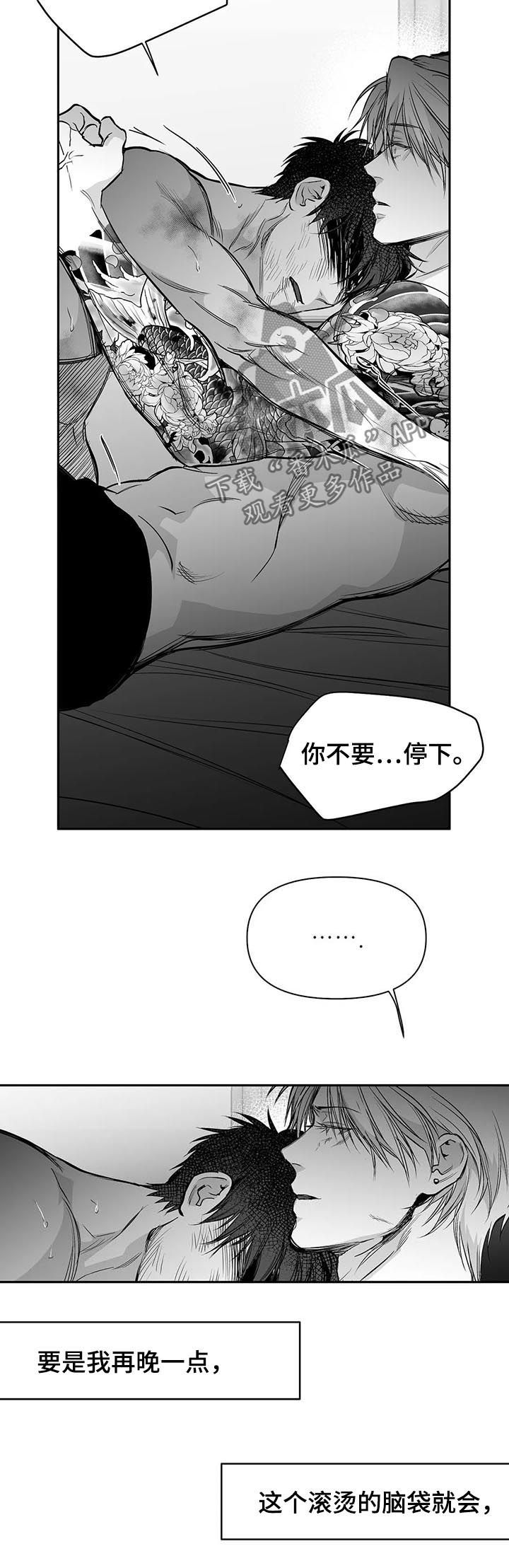 《拳击手》漫画最新章节第121章：【第二季】到此为止吧免费下拉式在线观看章节第【3】张图片