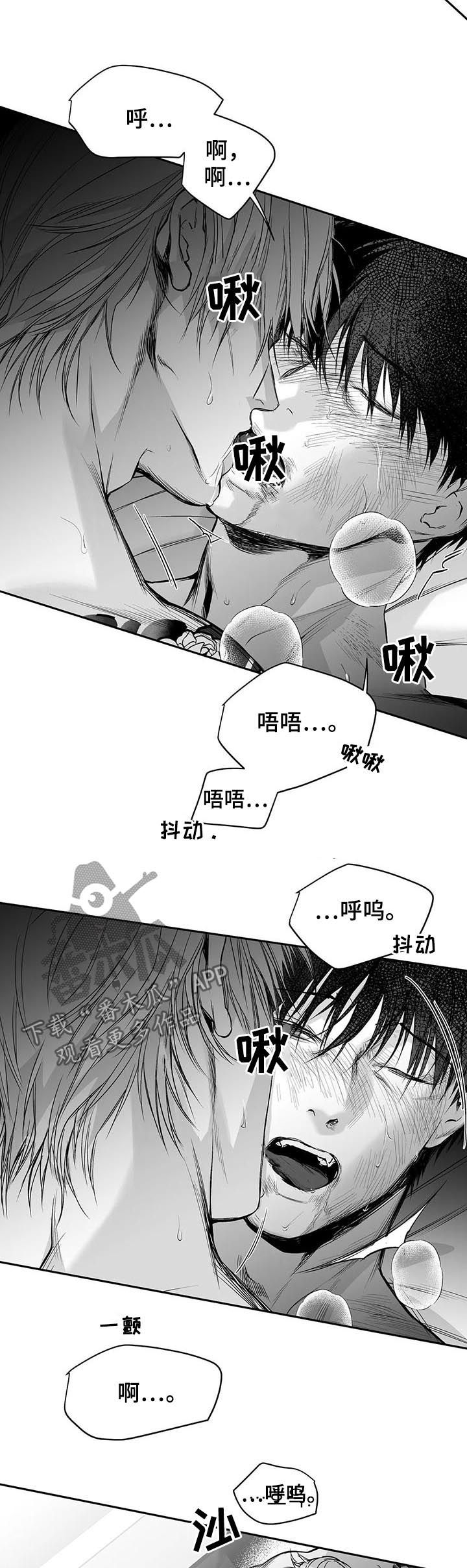 《拳击手》漫画最新章节第121章：【第二季】到此为止吧免费下拉式在线观看章节第【14】张图片