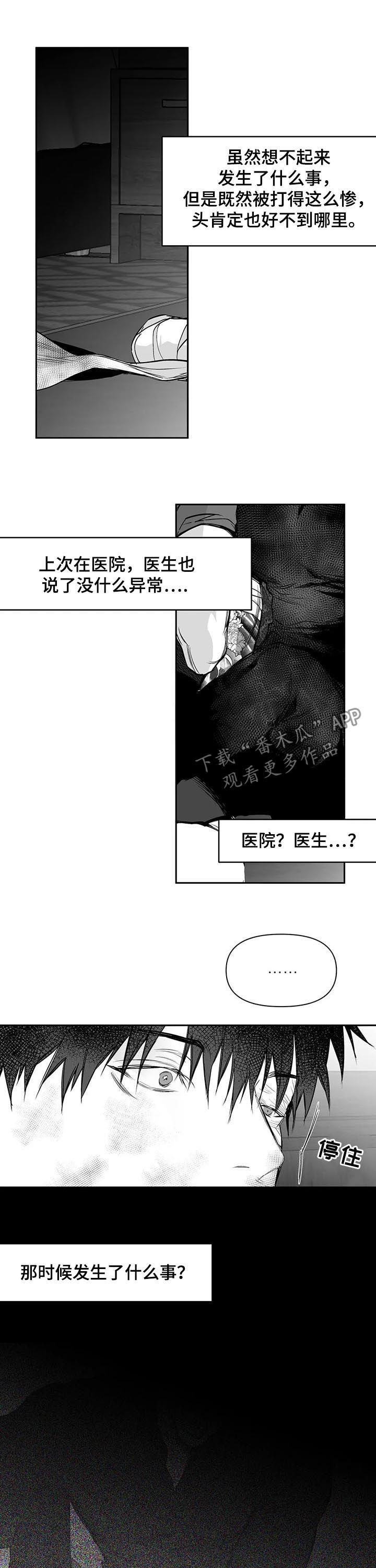 《拳击手》漫画最新章节第125章：【第二季】站队免费下拉式在线观看章节第【4】张图片