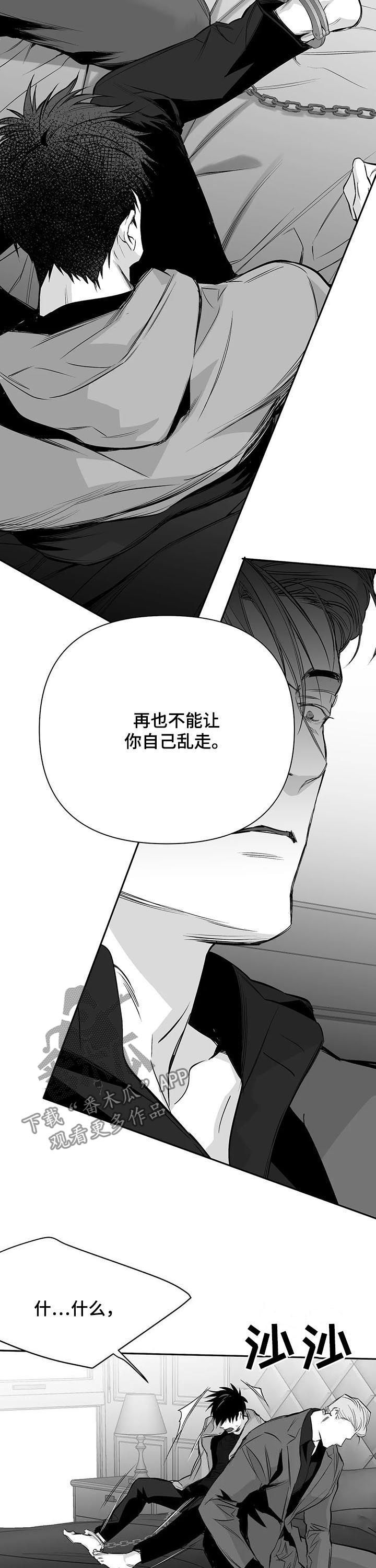 【拳击手】漫画-（第129章：【第二季】读不懂）章节漫画下拉式图片-6.jpg