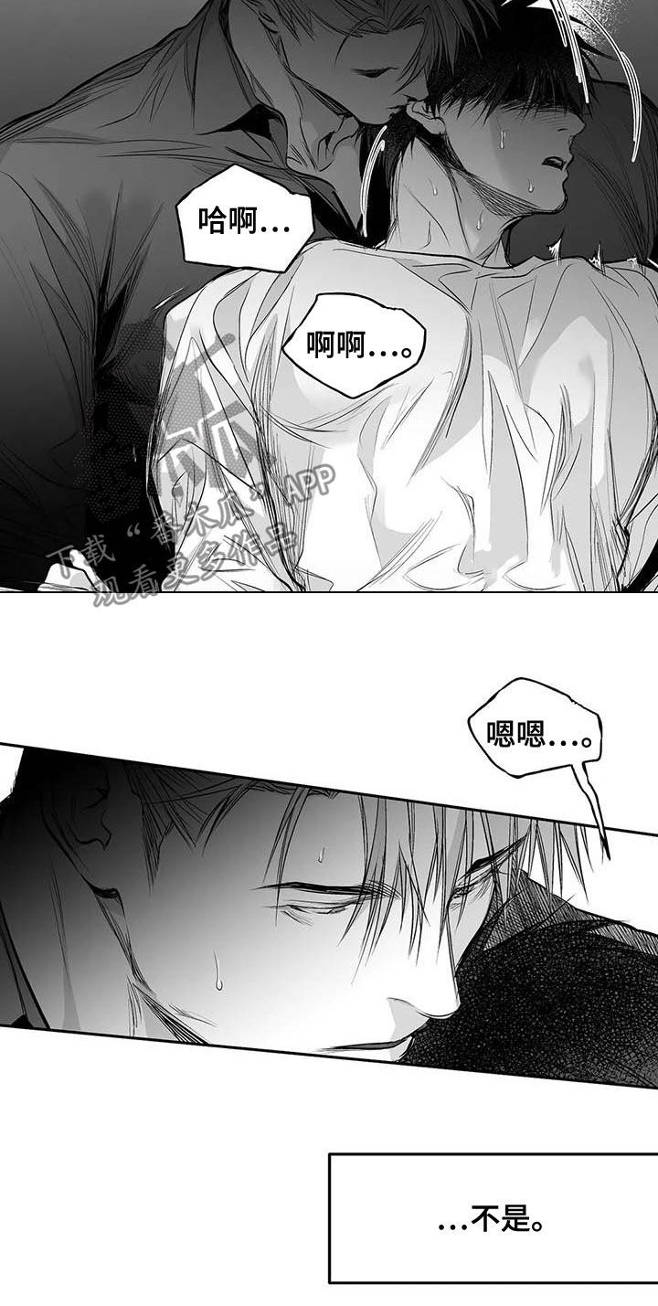 《拳击手》漫画最新章节第139章：【第二季】你是我的免费下拉式在线观看章节第【12】张图片