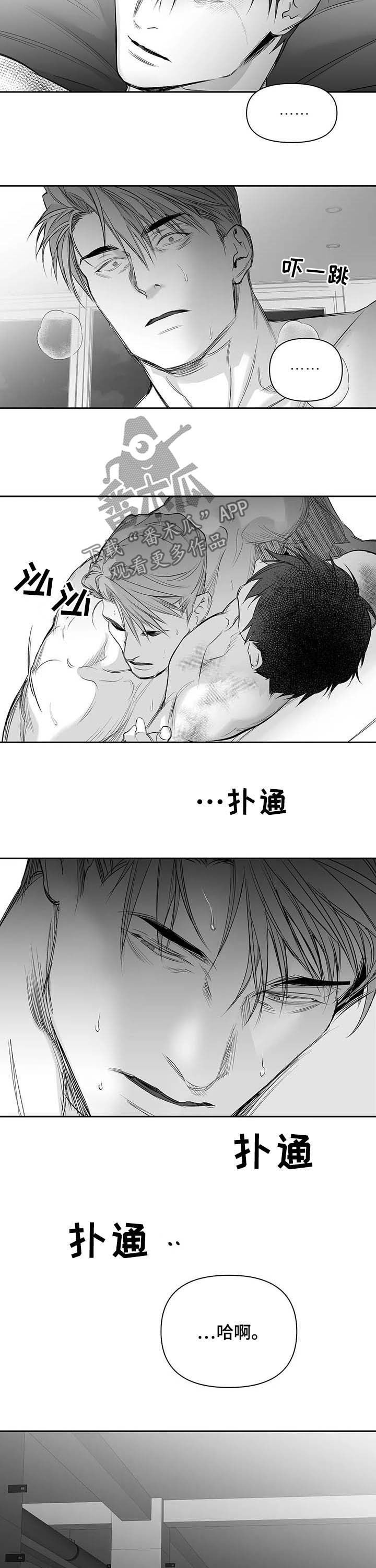 《拳击手》漫画最新章节第142章：【第二季】找他报仇免费下拉式在线观看章节第【5】张图片