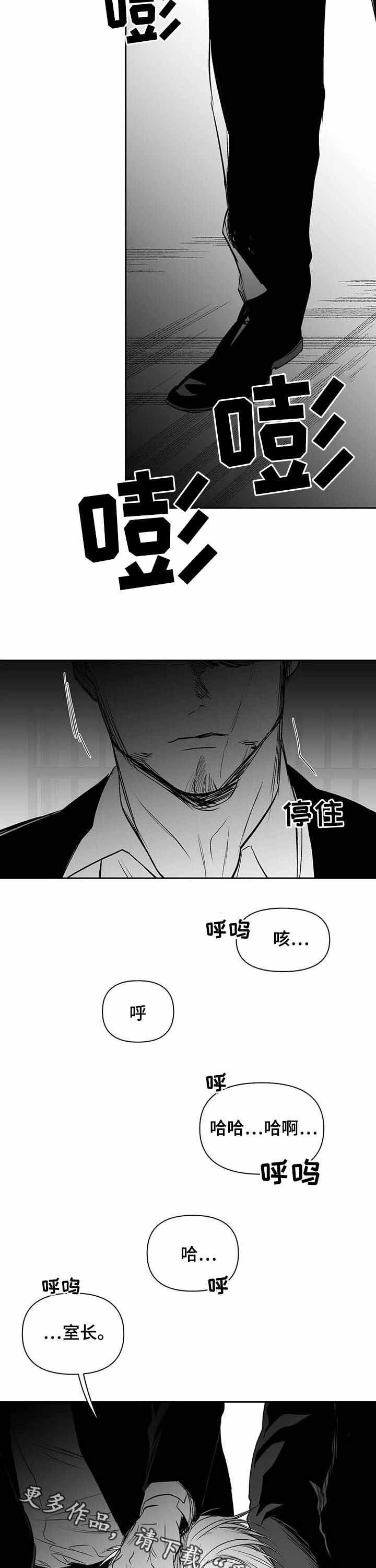 【拳击手】漫画-（第144章：【第二季完结】你别哭）章节漫画下拉式图片-16.jpg