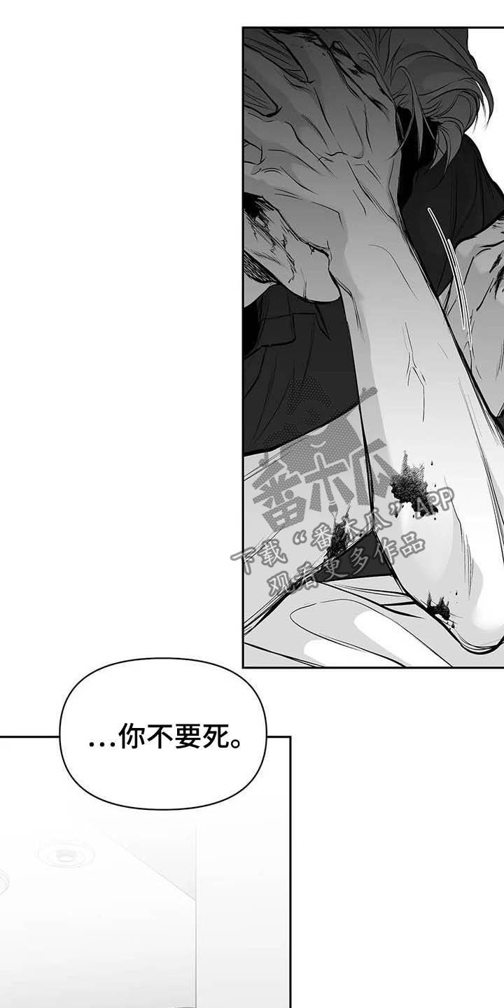 【拳击手】漫画-（第146章：【第三季】你也要完蛋）章节漫画下拉式图片-15.jpg