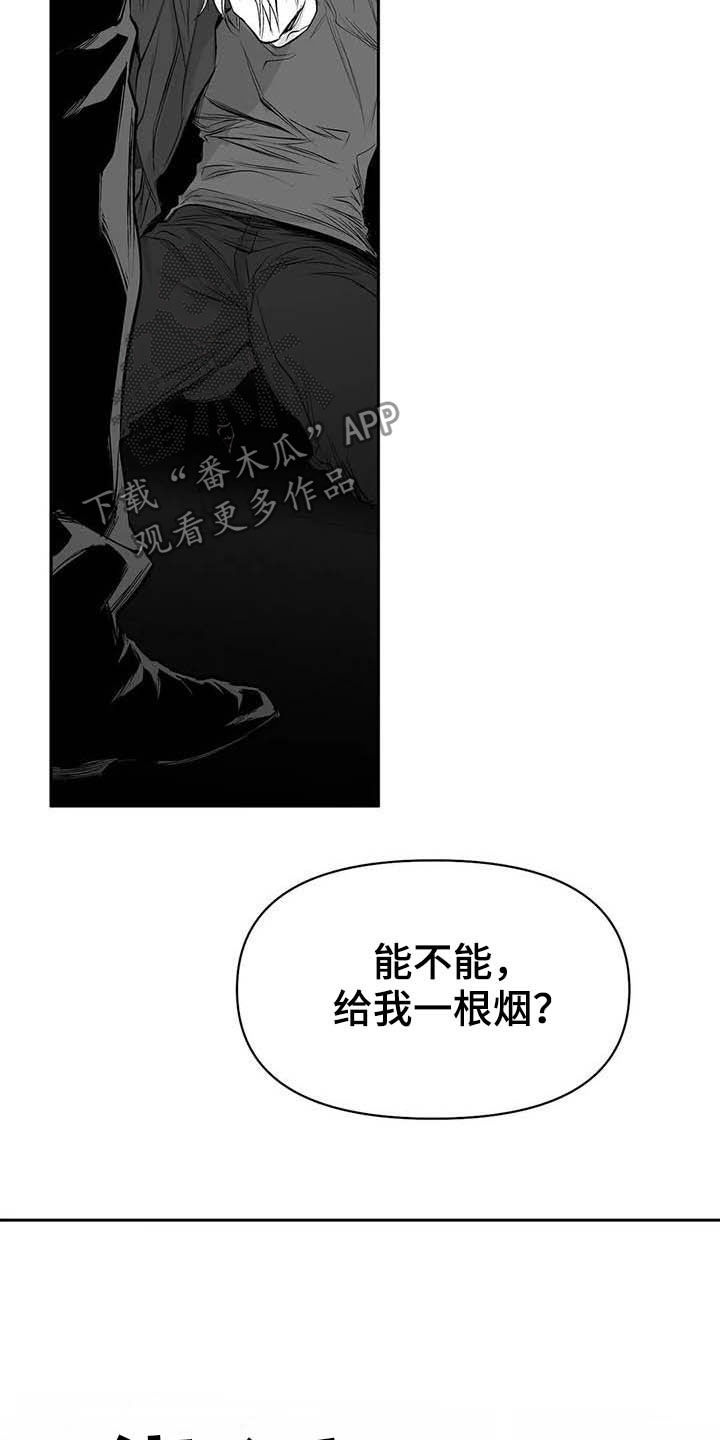 《拳击手》漫画最新章节第147章：【第三季】赶紧跑免费下拉式在线观看章节第【14】张图片